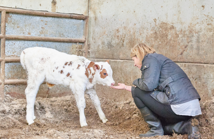 Back British Farming Day in South Ribble