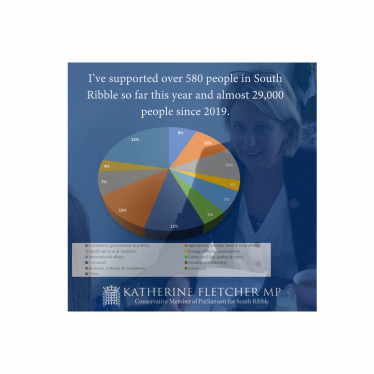 Pie chart showing breakdown of issues Katherine has worked on