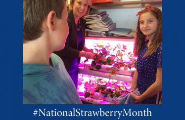 National Strawberry Month